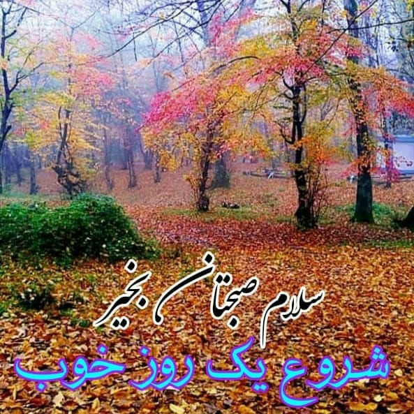 روزتون عالی ☀️☀️☀️☀️