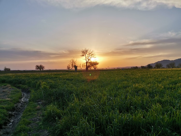 عکس غروب روستای داخل کویر