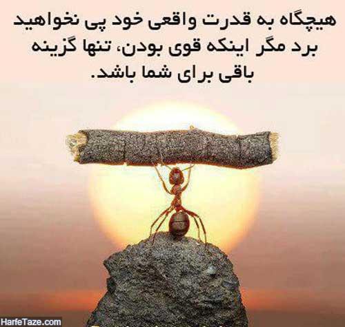 قوی بودن