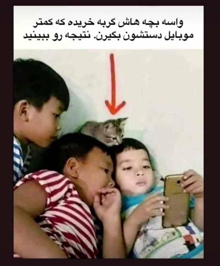 گربه هم گربه های قدیم😁😁😁