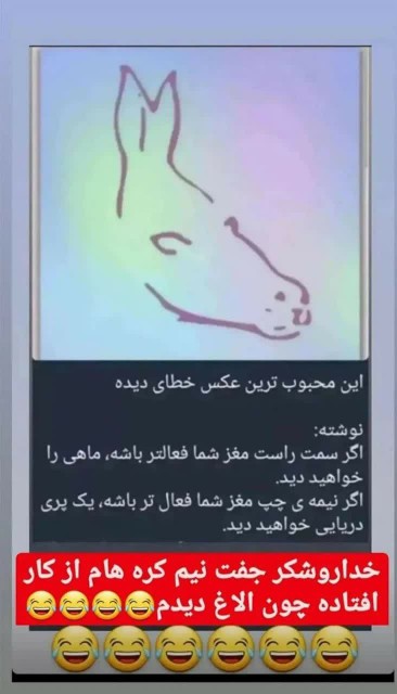 شرح درعکس