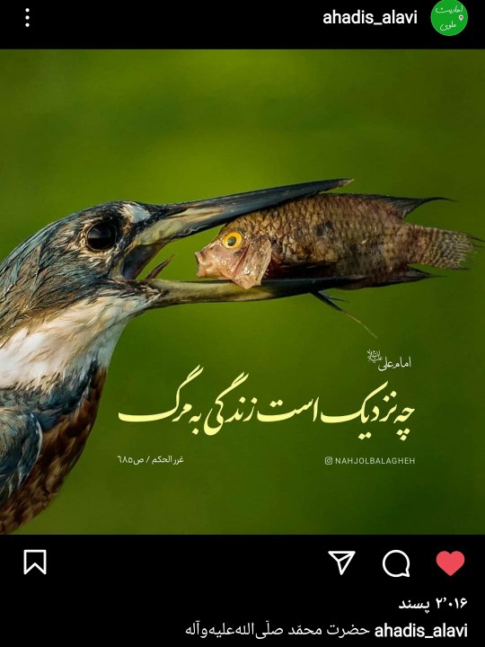 چه نزدیک است زنــدگی به مـــرگ