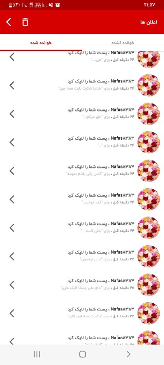 مچکرم گل