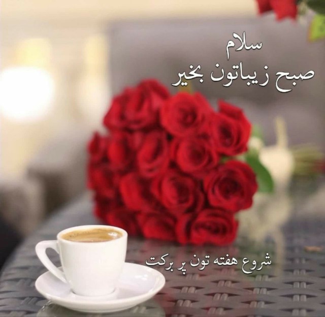 سلام صبح زیباتون بخیر🙋🏻‍♀️🌹سلام به  هفته نو🌞