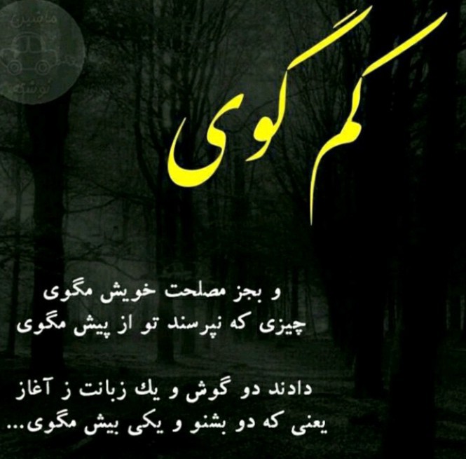 کم گوی