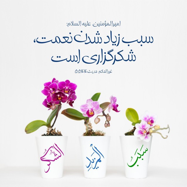 حضرت علی علیه السلام