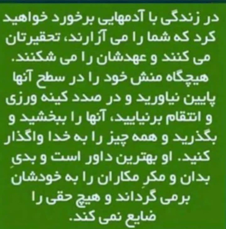 سادات