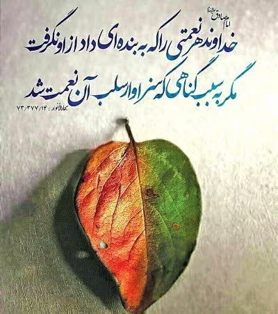 امام صادق علیه السلام