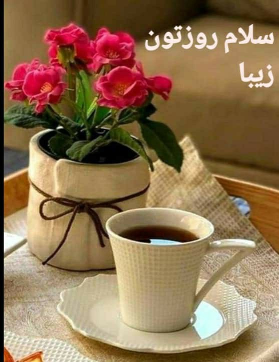 سلام روزتون زیبا 🌺🌺🌺🌺🌺