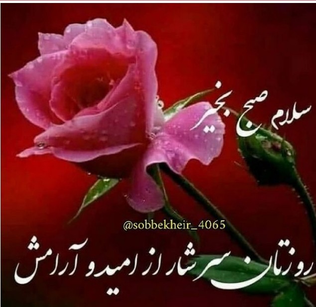 آخرین خبر | سلام صبح بخیر روزتان سرشار از امید و آرامش🙏🤲🏻