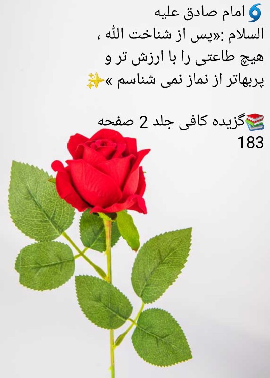 التماس دعای فرج و عاقبت بخیری مسلمانان عزیز🤲🏻🤲🏻🌸🌴🌻