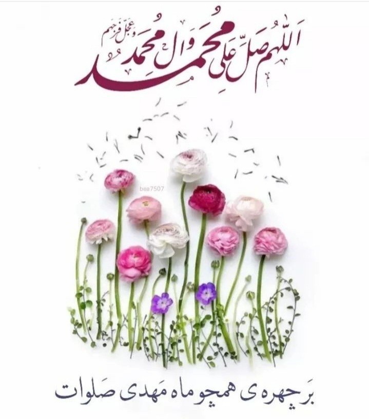 🌸🌸یا مهدی عج مددی🌸🌸