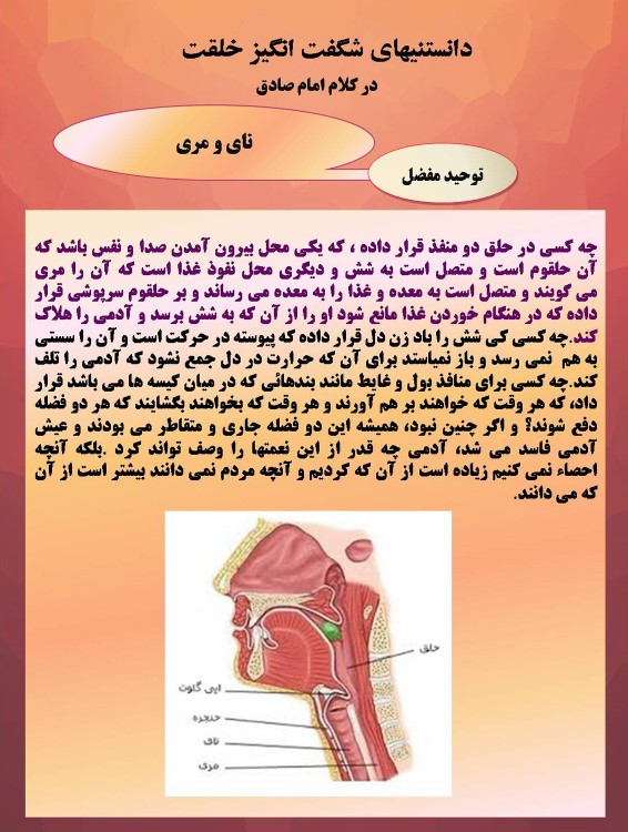 نای و مری