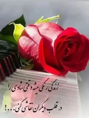 عکس‌نوشته