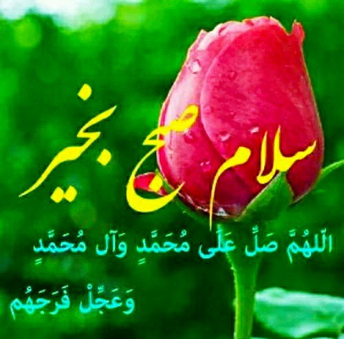 صلوات 🌺🌺🌺🌺🌺