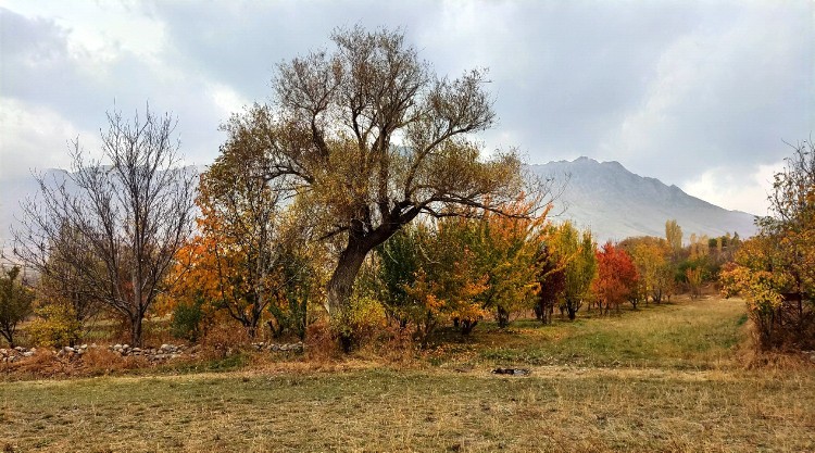 پاییز فریدونشهر بام ایران