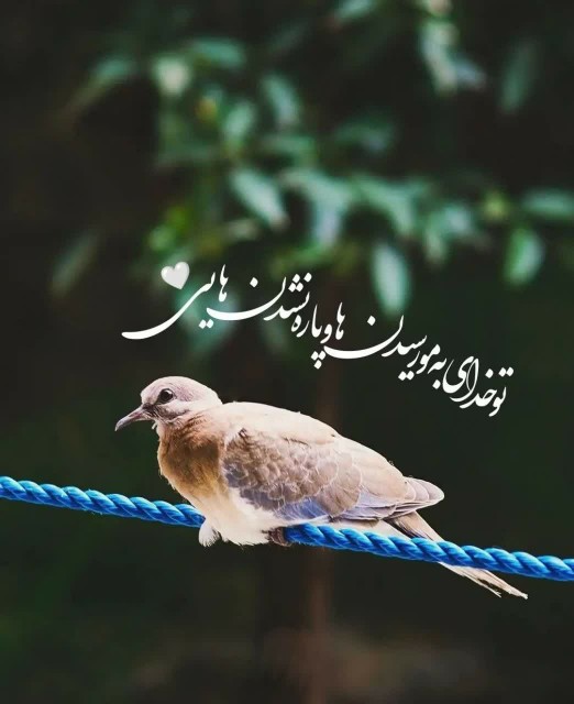 عکس نوشته