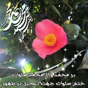 ┄═❁✨❈[﷽]❈✨❁═┄

#ختم_روزانه

✨