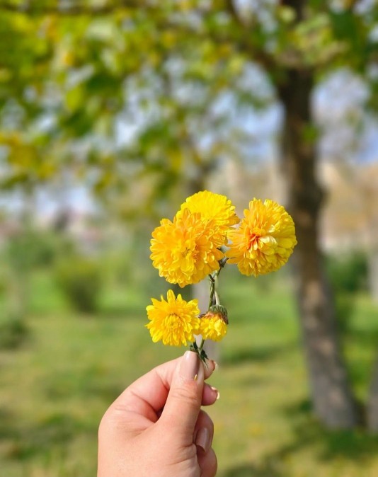 سلام صبح زیباتون بخیر و شادی ☕