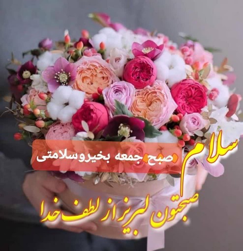 سلام 🌹🌹🌹