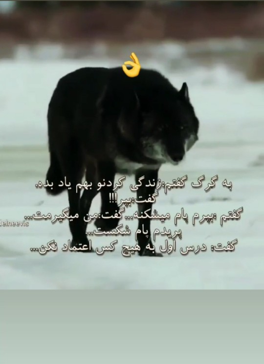 عکاس خونه