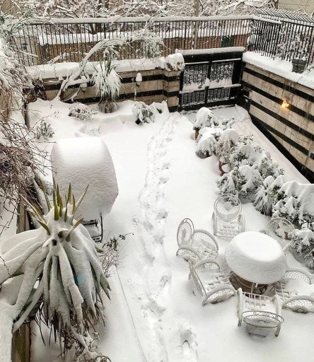آخرین خبر | ارتفاع برف تو نیاوران تهران به بیشتر از ۳۰ سانت رسیده