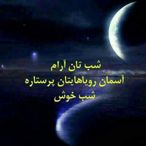 شبتون بخیر 🌠🦋🌻🌛⭐🌜🌹🍃