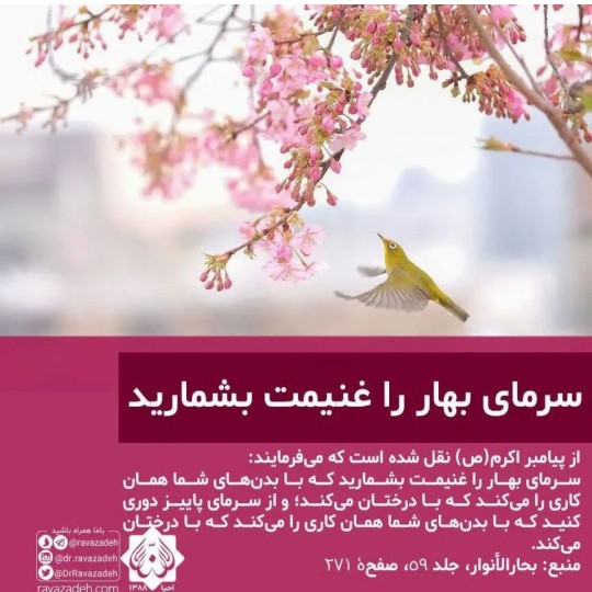 ،