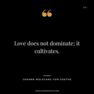 Love does not dominate; It Cultivates. wolfgang von goethe✍️