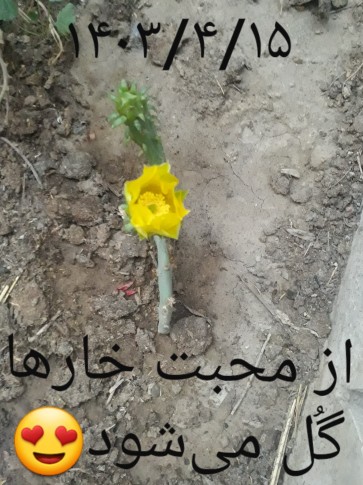 زیبایی ببینیم🤗