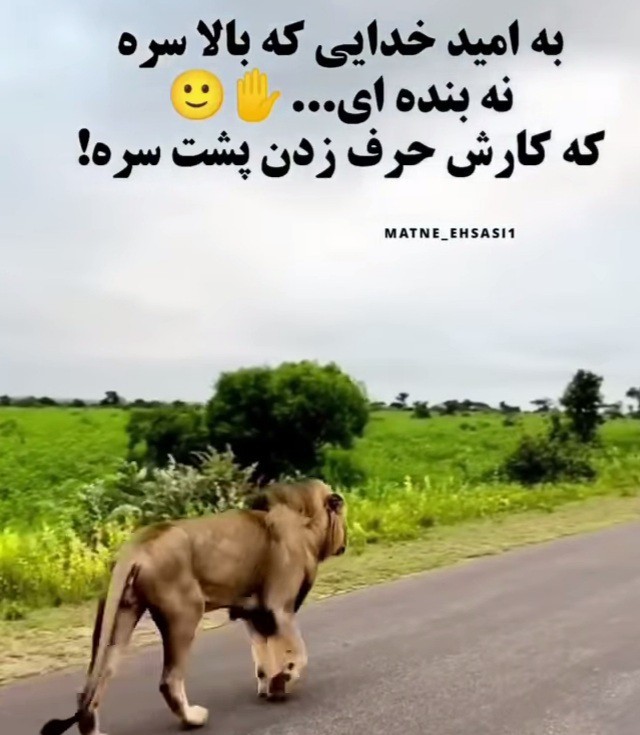 صبح اول هفتتون بخیر🌺🌺