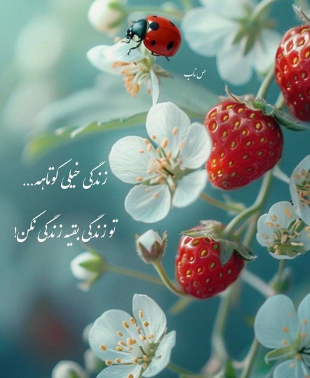 زندگی خصوصی 