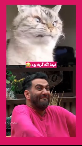 جوکر رو کیا دیدن 😁