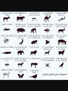 حیواناتی که در قرآن به آنها اشاره شده.... 