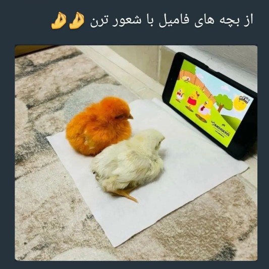 چی جالبه