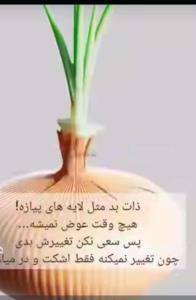 عصر بخیر 