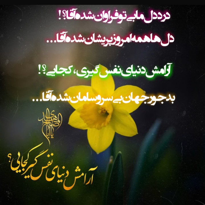 آقا بیا 🌷🌷🌷