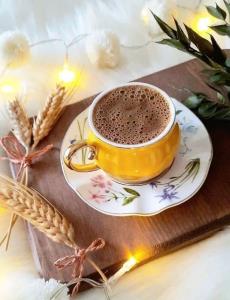 سلام عصر بخیر☕🌾