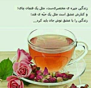 عصر به خیر 🍁🍂🍁🍂