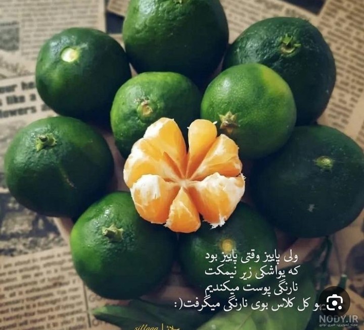 کاش میشد برگردیم به همون روزا 🍈🍈🍈