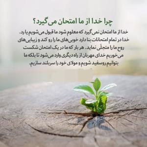 فدای خاک وطنم 