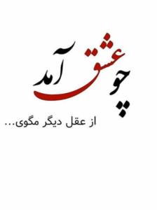 اگه بتونی از هر دوتاش بهره ببری شکست نمیخوری