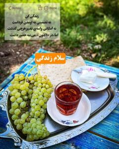 سلام😊✋️
دوستان مهربانم
صبح زیباتون بخیر☕️😊🍁