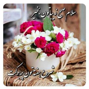 یک سلام پاییزی خدمت همه کاربران 