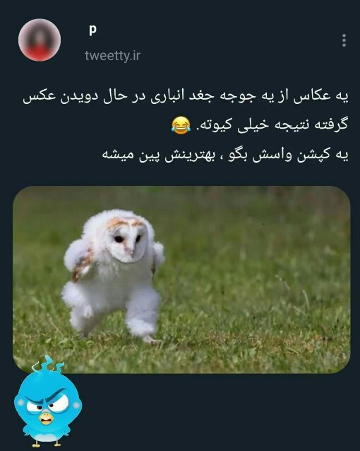 کپشنش از شما 