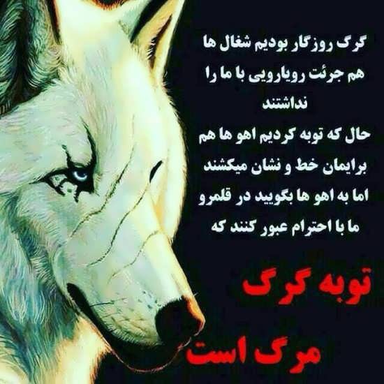 فدای خاک وطنم 