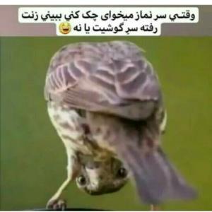 ای شیطون😂😂