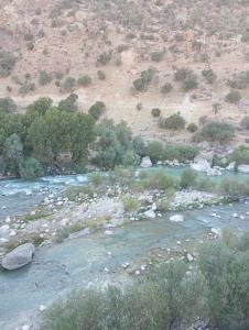 جای دوستان خالی 