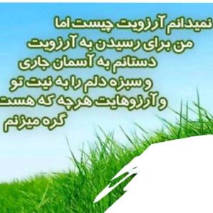 فدای خاک وطنم 