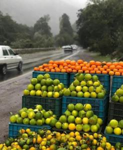 قبول دارید نارنگی موقعی  خوشمزه بود 🍂🍂🍁🍊🍋